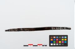 Foto von Eisenraspel (NHMW-PRAE-024445)